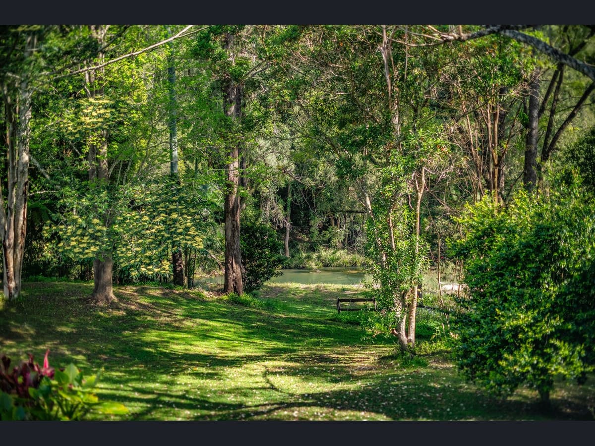 559 Kalang Road, Bellingen - Thumbnail 3