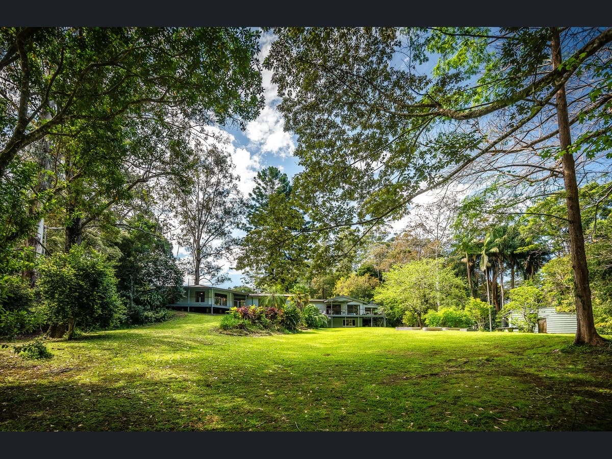 559 Kalang Road, Bellingen - Thumbnail 6