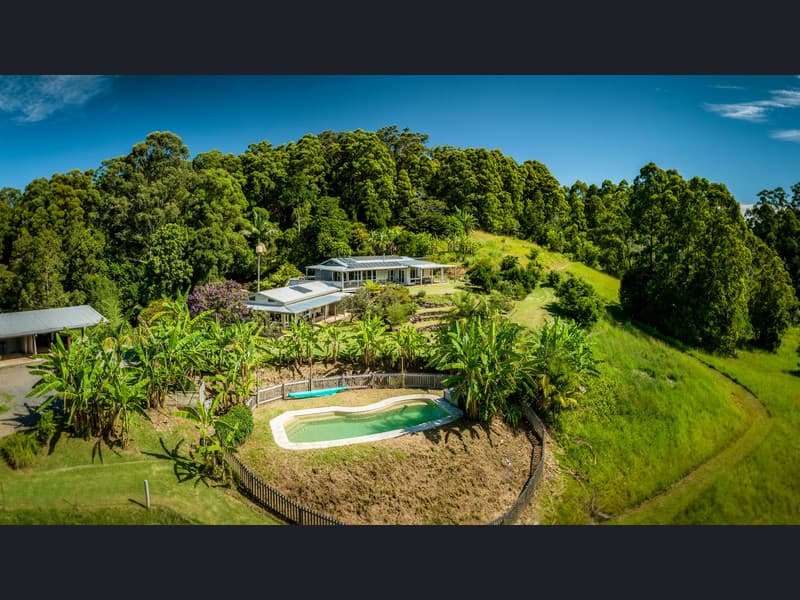 165 Hydes Creek Road, Bellingen - Thumbnail 7