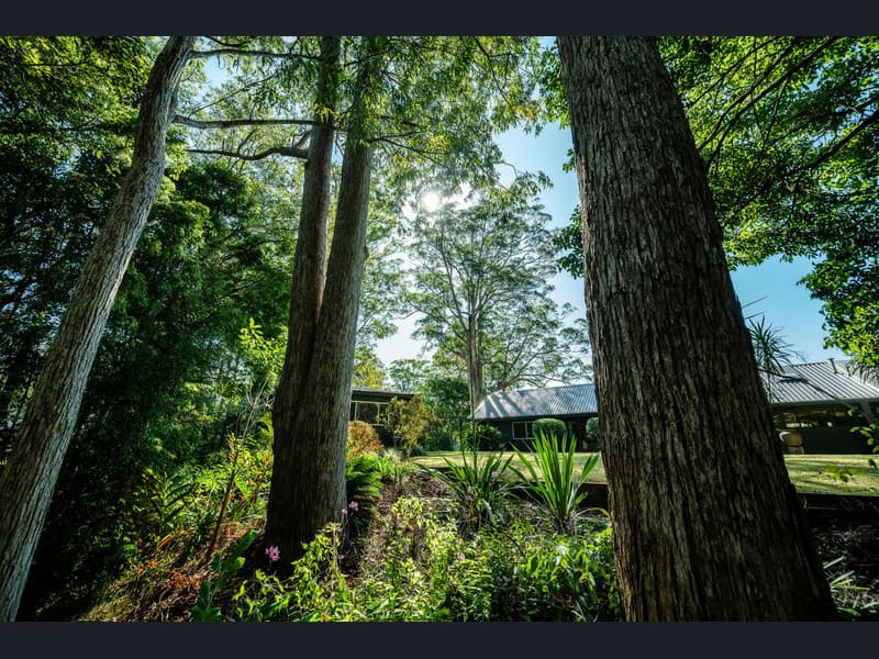 31 Scotchman Road, Bellingen - Thumbnail 5