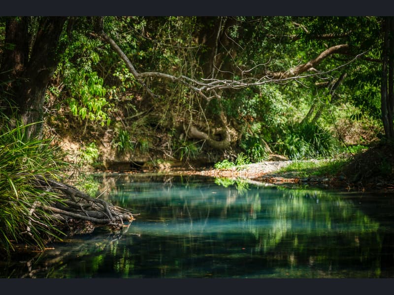 284 Gordonville Road, Bellingen - Thumbnail 2