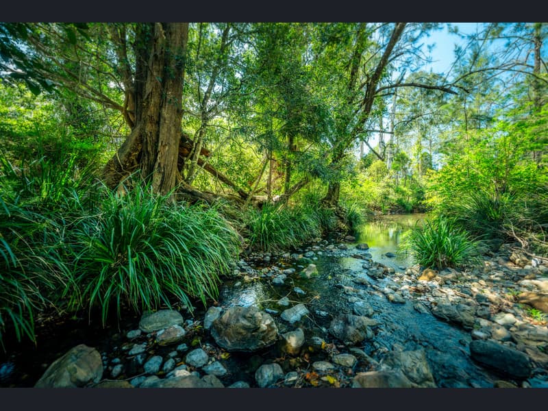 284 Gordonville Road, Bellingen - Thumbnail 3