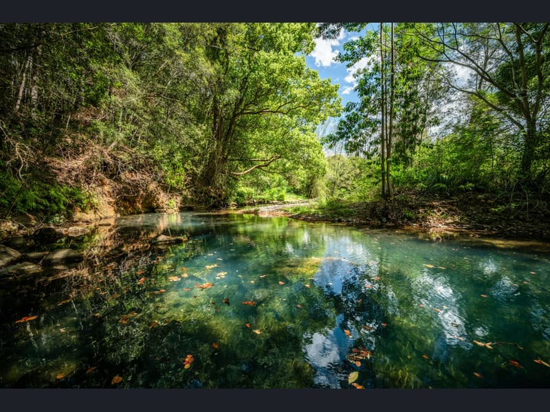 284 Gordonville Road, Bellingen - Thumbnail 6