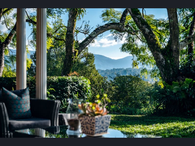 1383 Waterfall Way, Bellingen - Thumbnail 6