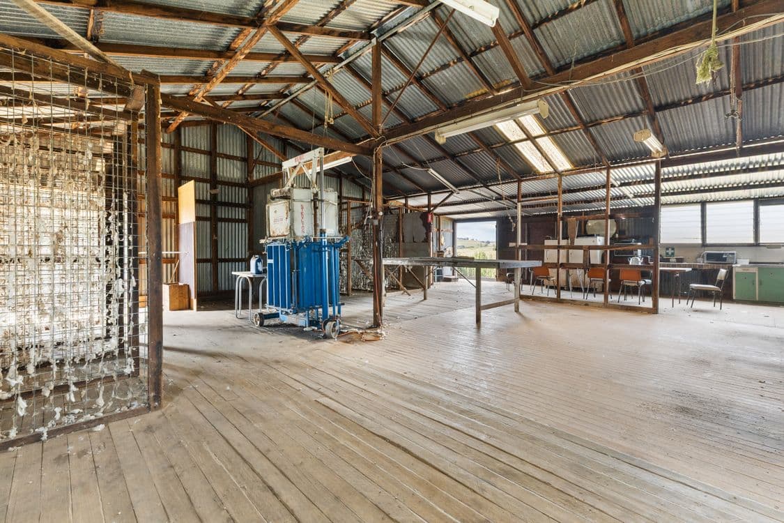 1911 Rugby Road, BEVANDALE, CROOKWELL, NSW 2583, Bevandale - Thumbnail 5