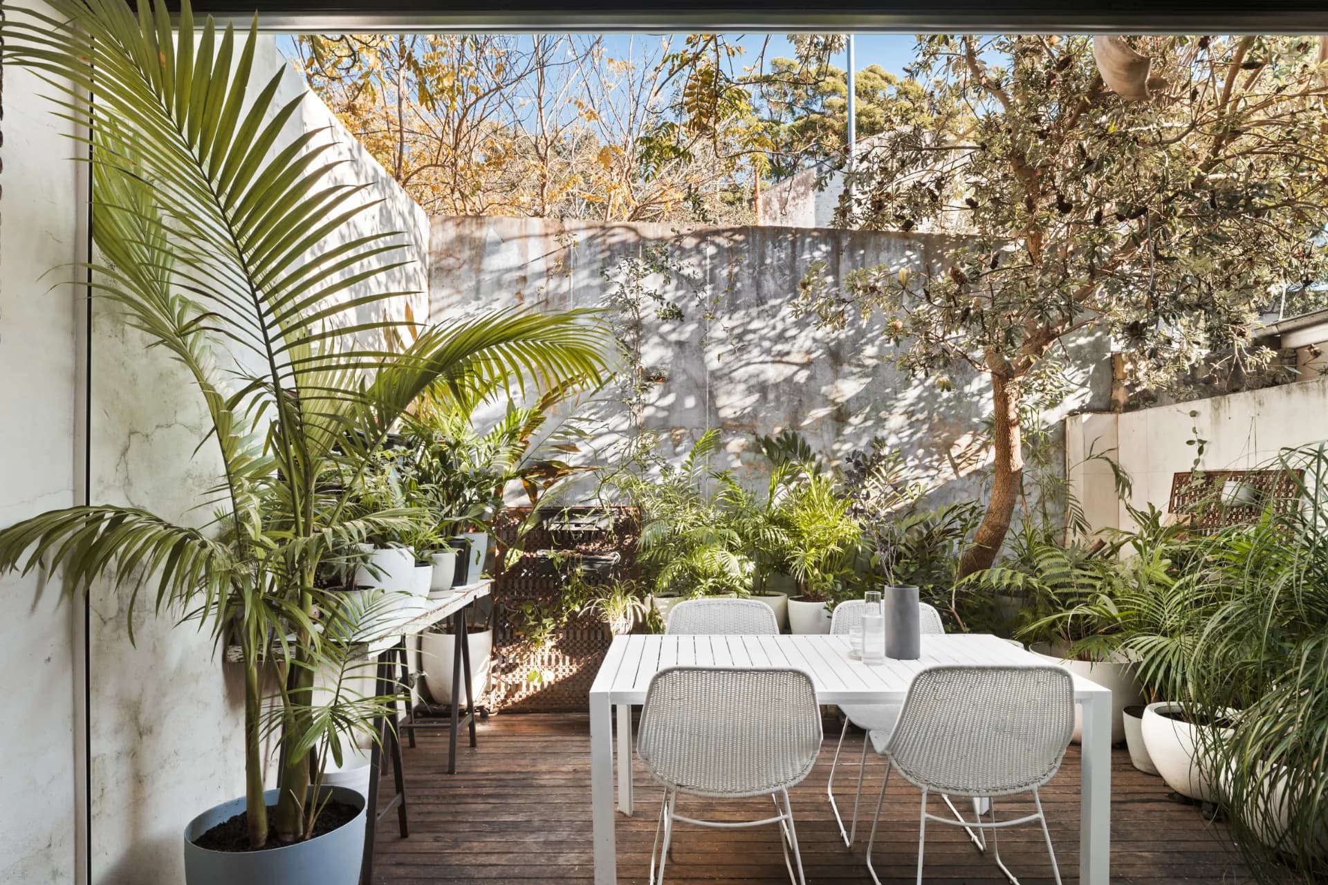 69 High Holborn Street, Surry Hills, Surry Hills - Thumbnail 7