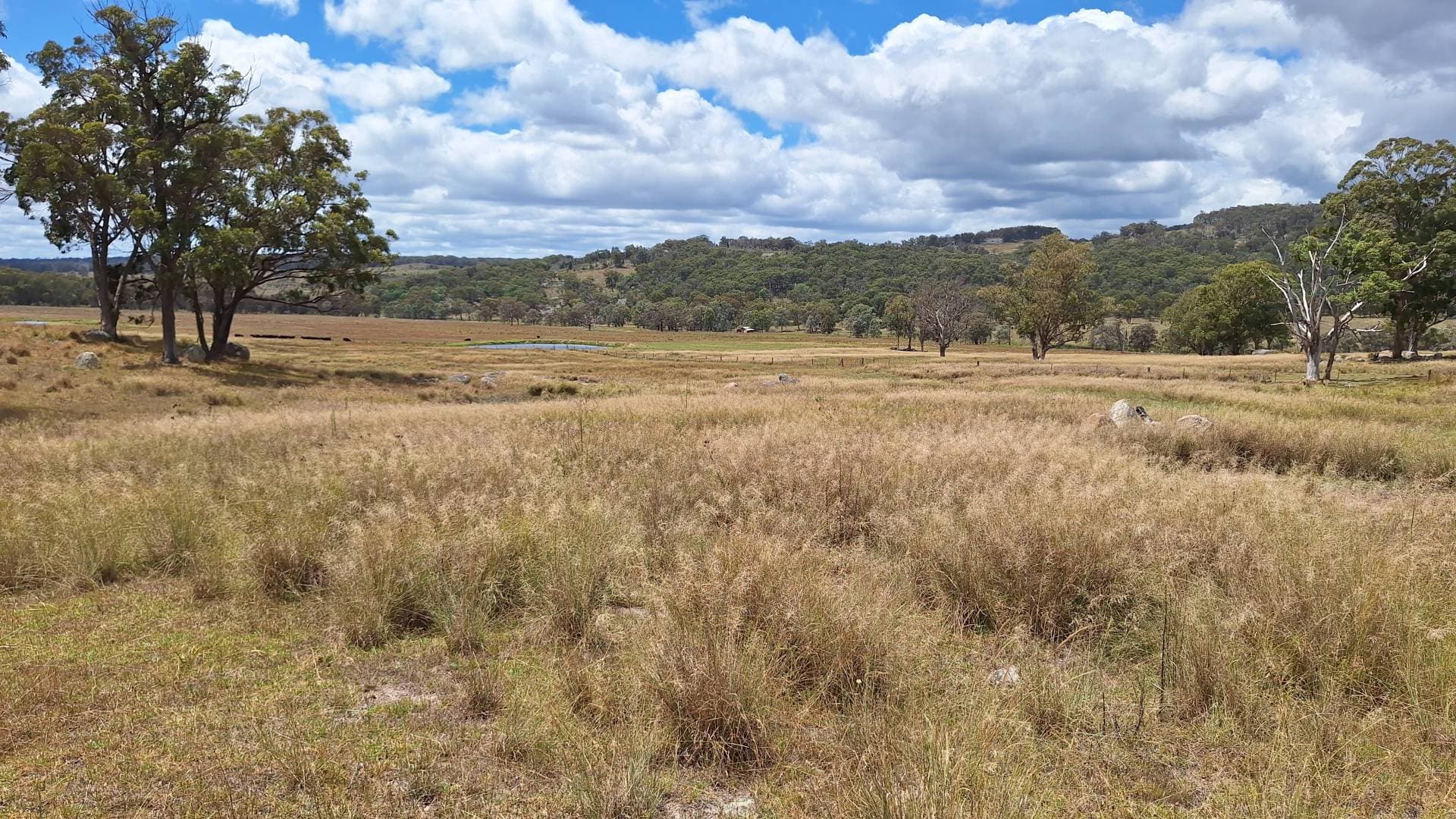 Eukey QLD 4380, Eukey - Image 1