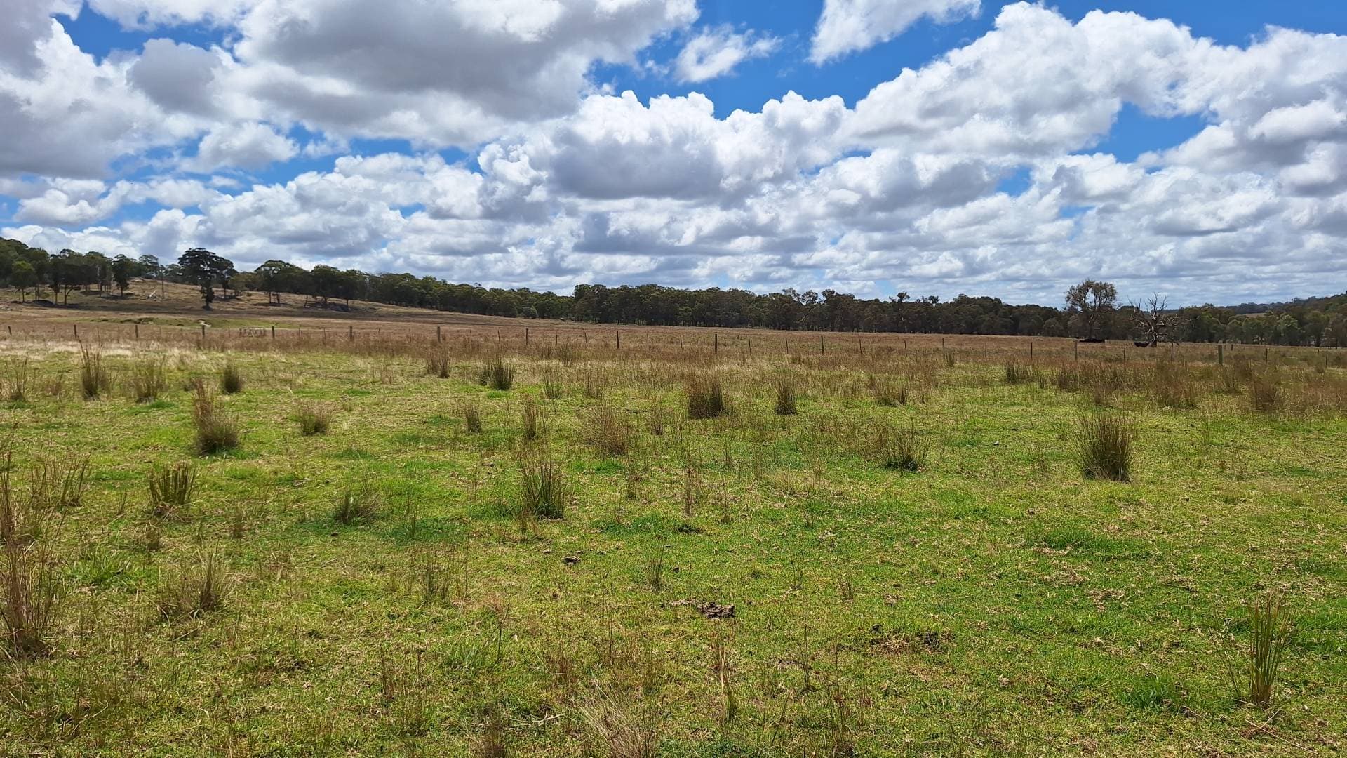 Eukey QLD 4380, Eukey - Thumbnail 2