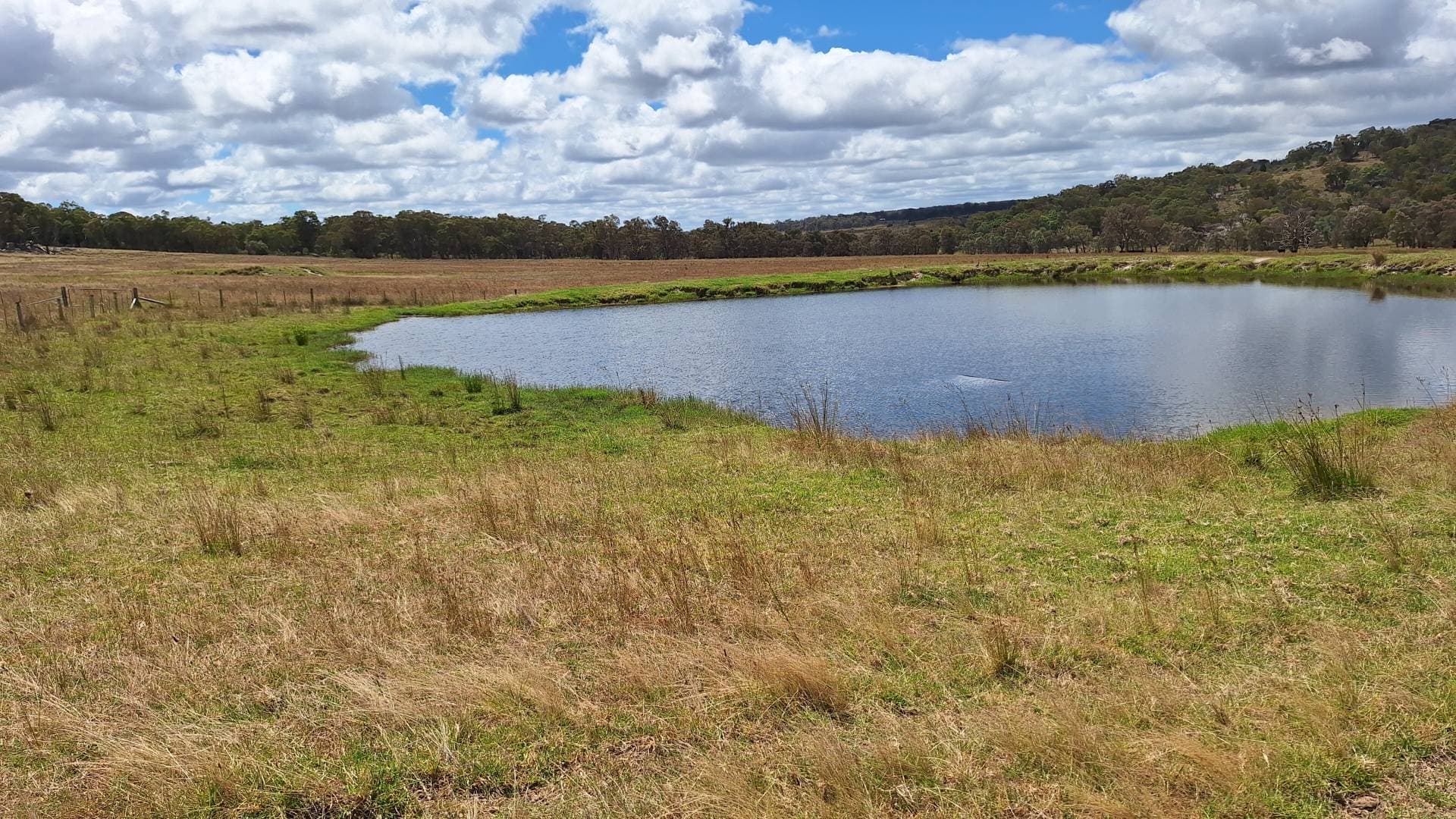 Eukey QLD 4380, Eukey - Thumbnail 3