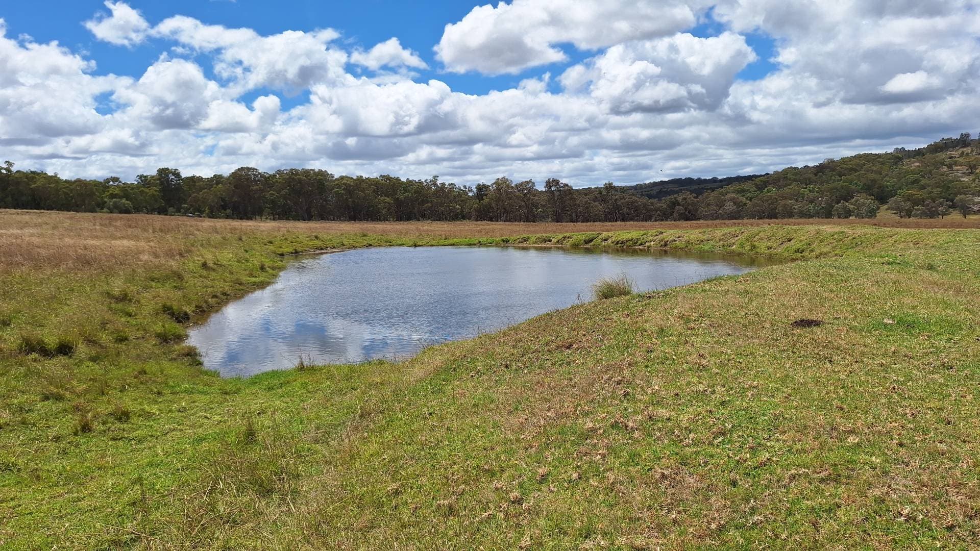 Eukey QLD 4380, Eukey - Thumbnail 5