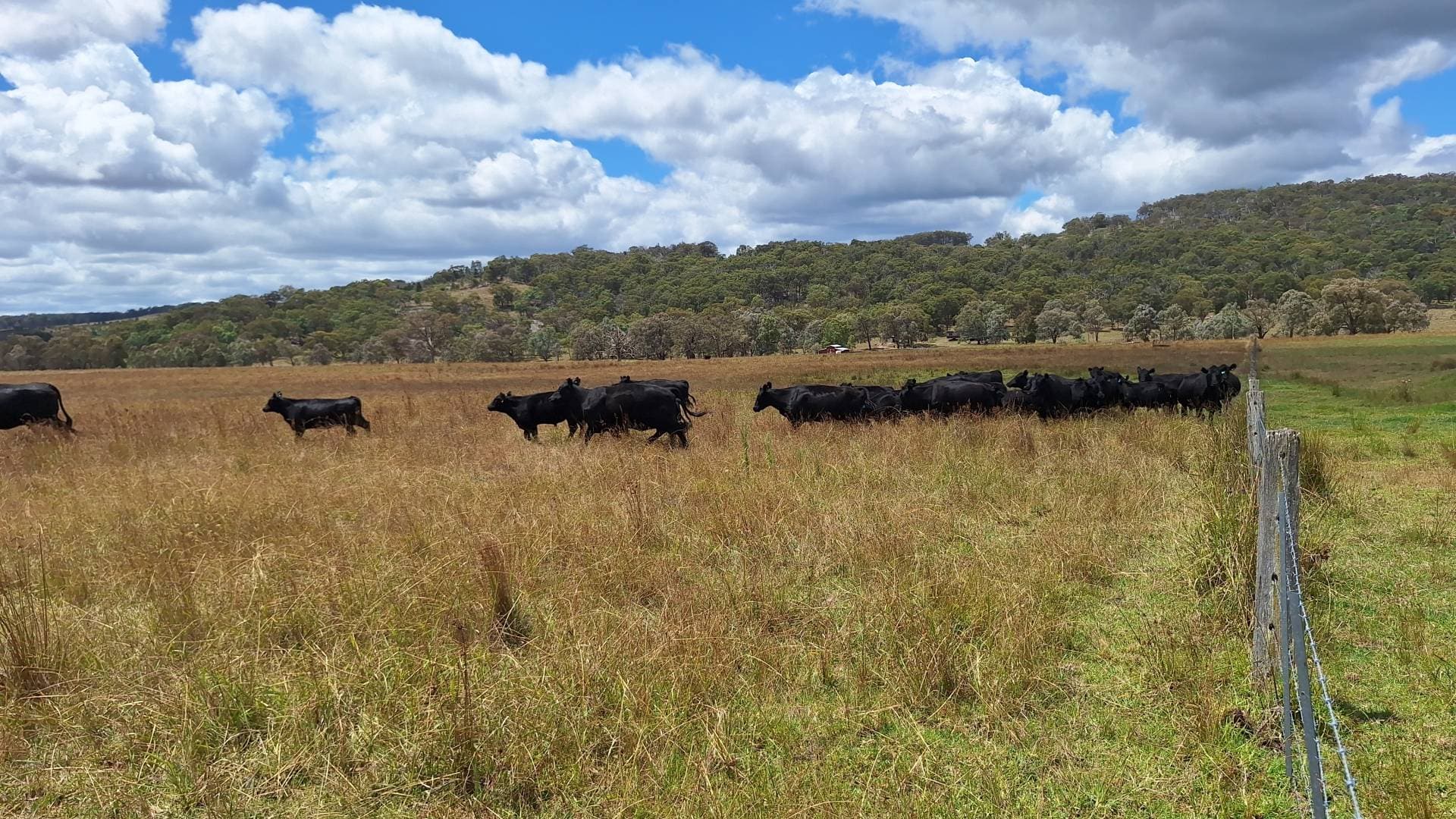 Eukey QLD 4380, Eukey - Thumbnail 6
