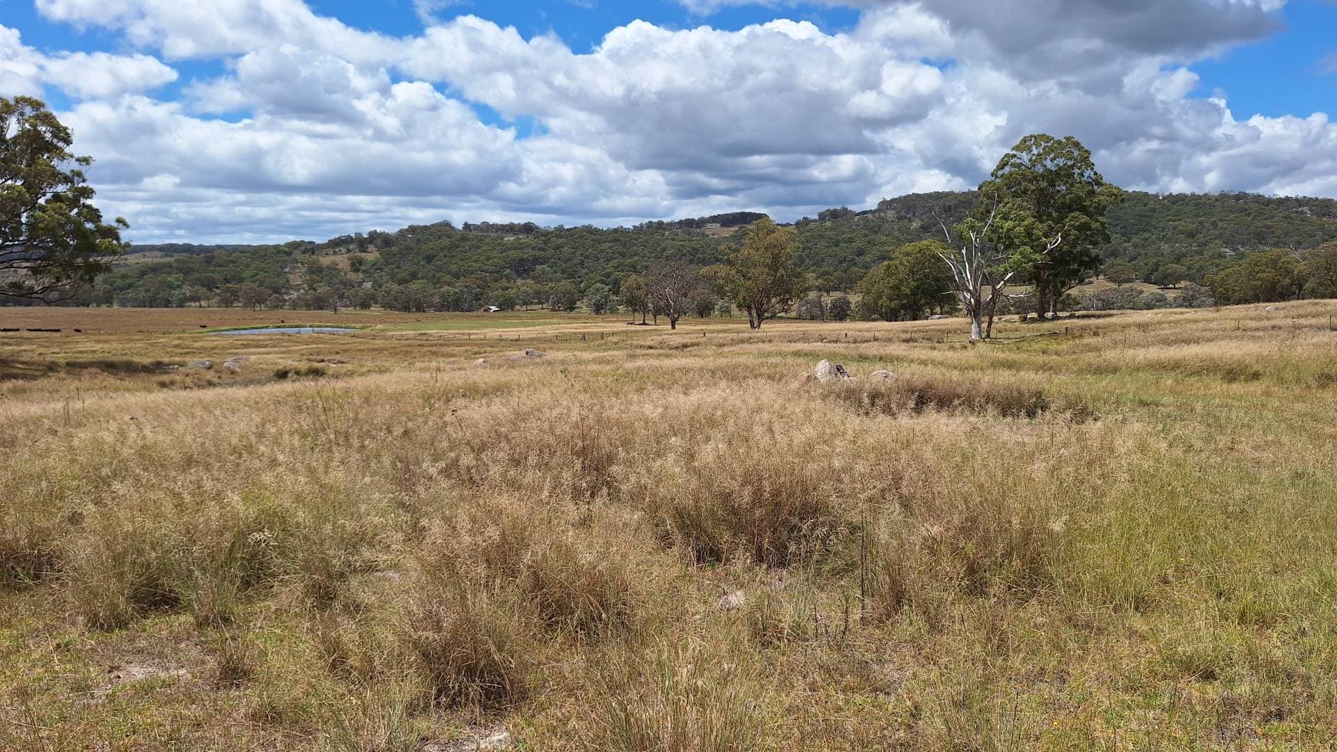 Eukey QLD 4380, Eukey - Thumbnail 8