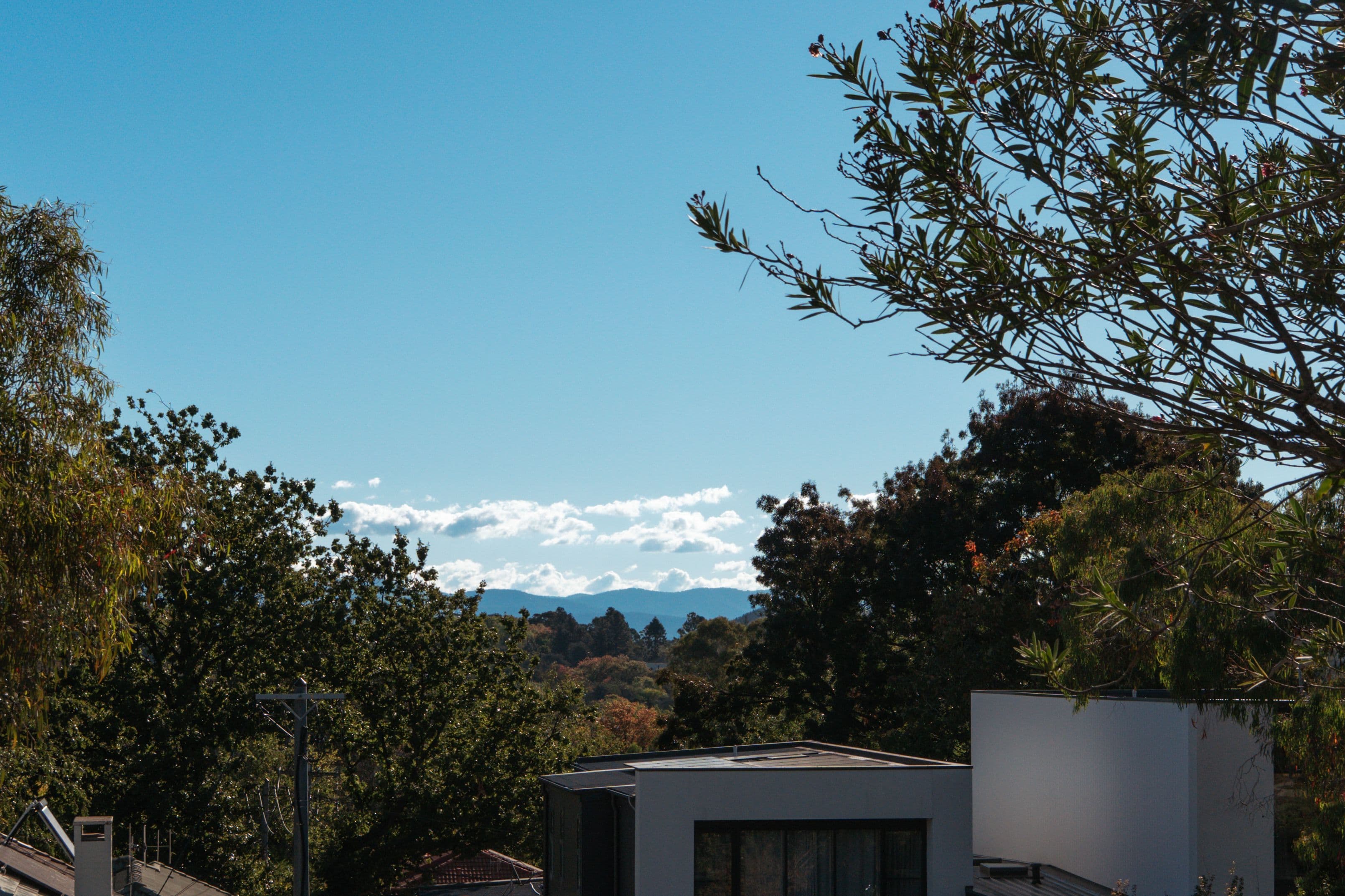 104 Hopetoun Circuit, Yarralumla ACT 2600, Yarralumla - Thumbnail 6