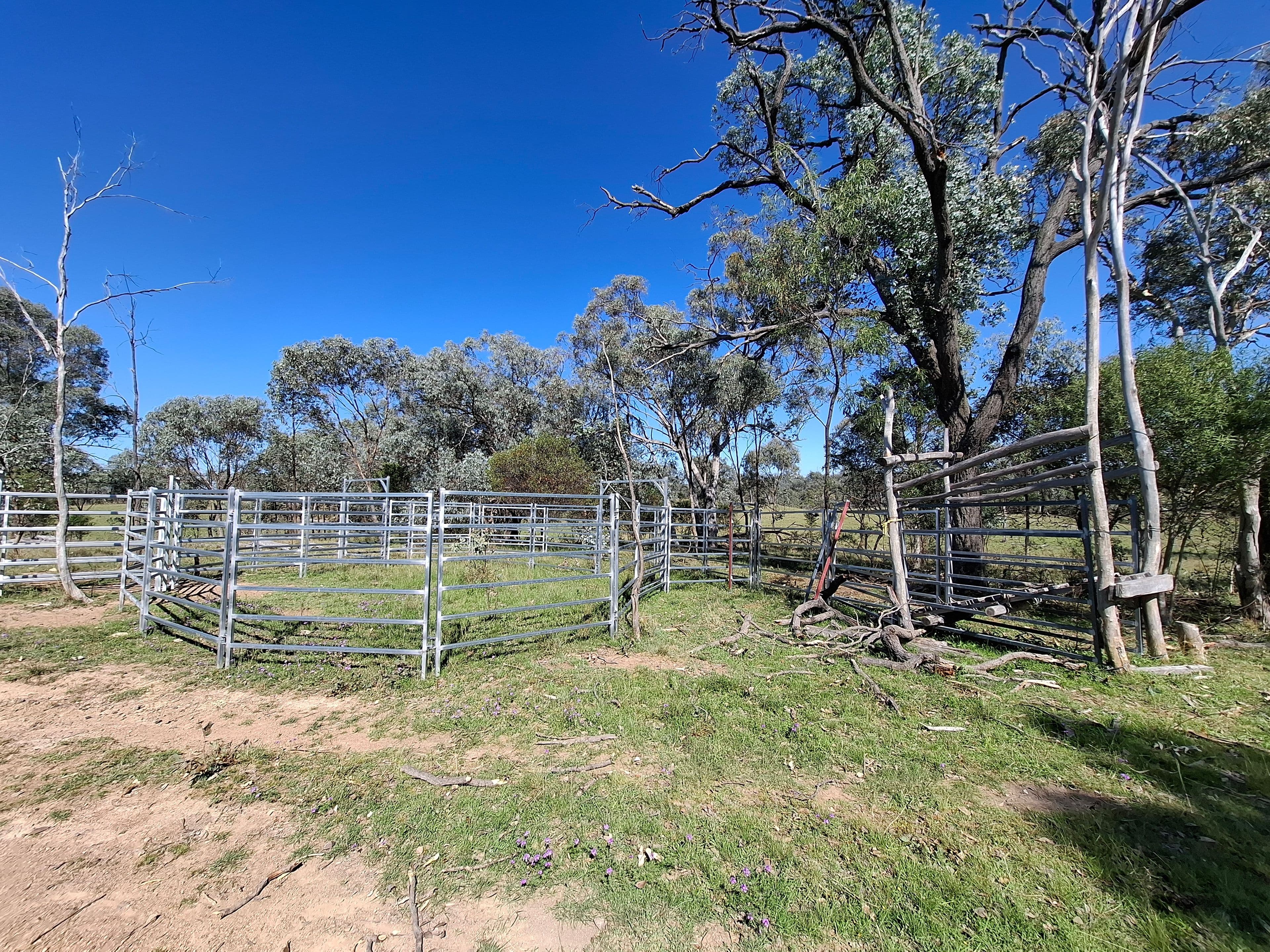 Lot 14 Silver Spur Redgate Road, TEXAS NSW 4385, Texas - Thumbnail 4