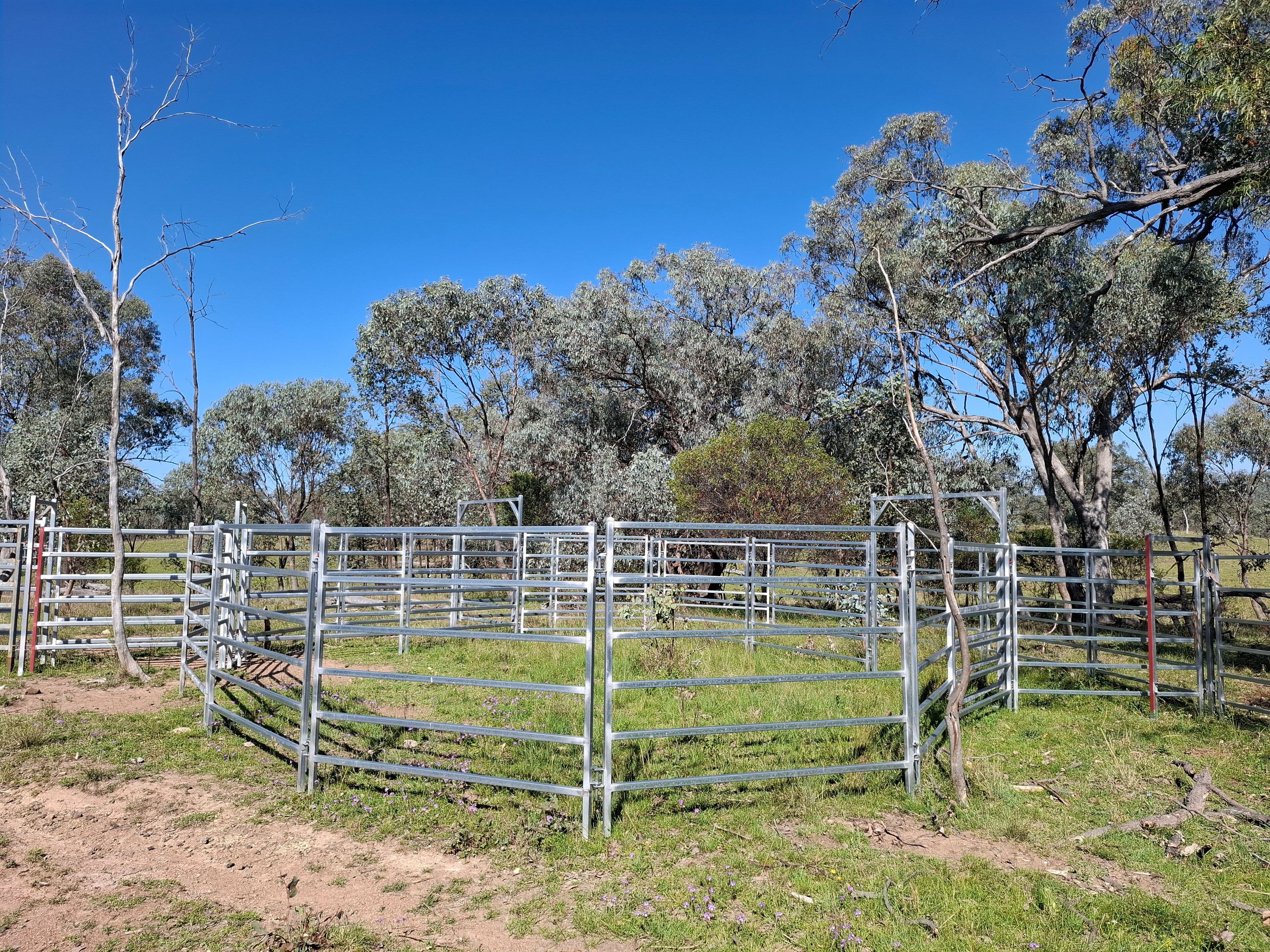 Lot 14 Silver Spur Redgate Road, TEXAS NSW 4385, Texas - Thumbnail 5