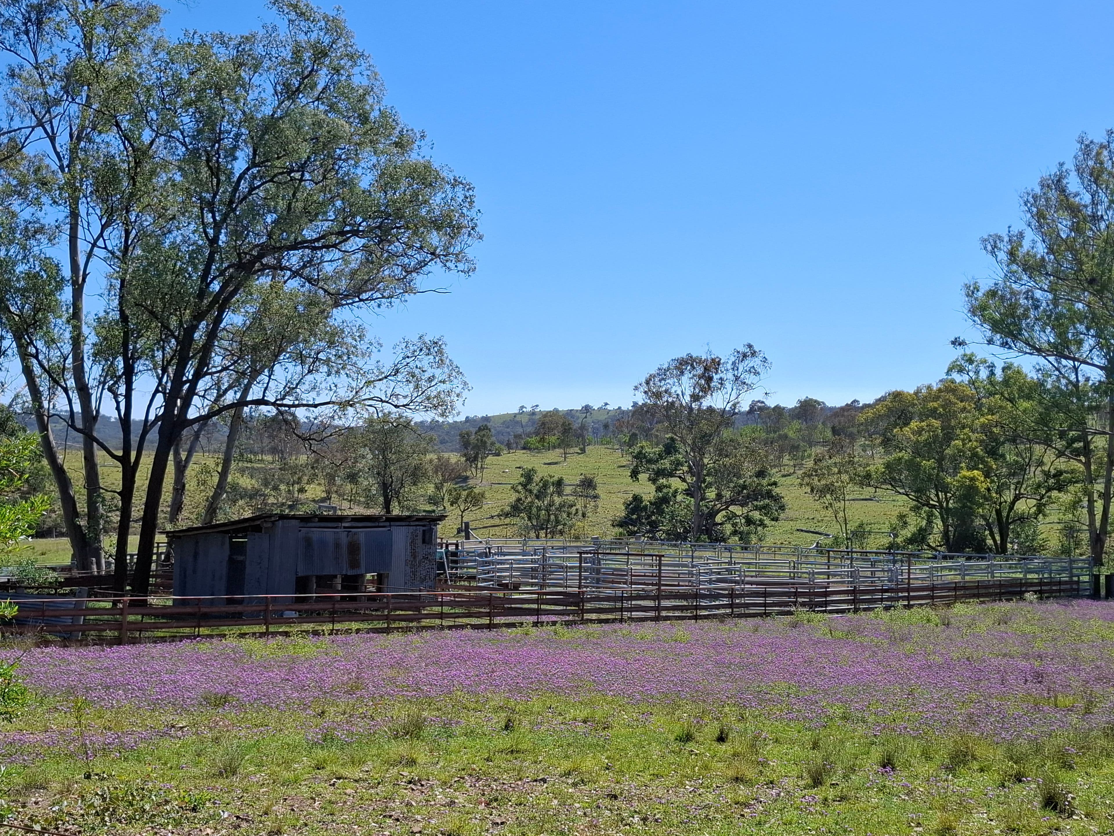 Lot 14 Silver Spur Redgate Road, TEXAS NSW 4385, Texas - Thumbnail 8