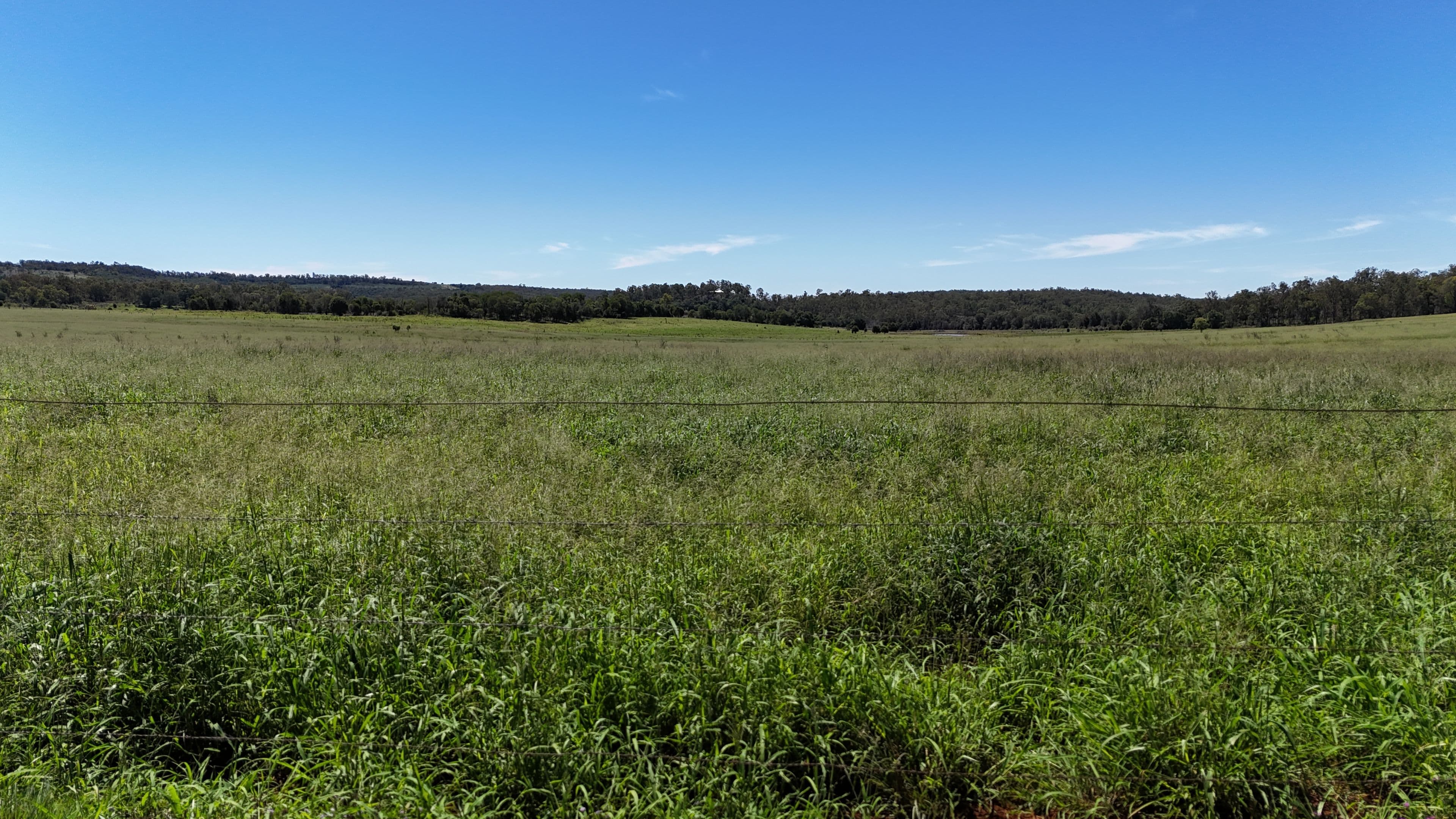 42 Roberts Road, Speedwell, Proston QLD 4613, Proston - Thumbnail 6