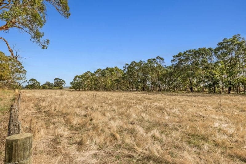 4.5 Acres Ready for Your Rural Vision, Pennyroyal - Thumbnail 3
