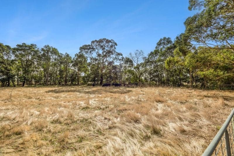 4.5 Acres Ready for Your Rural Vision, Pennyroyal - Thumbnail 4