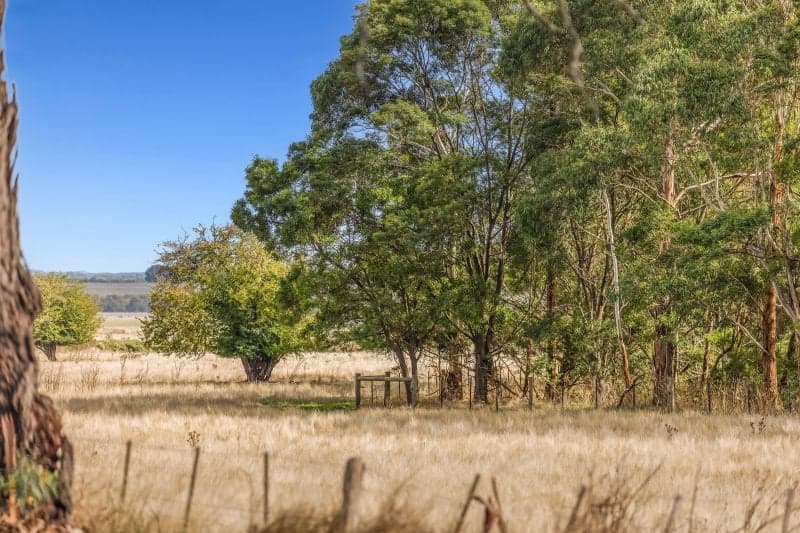 4.5 Acres Ready for Your Rural Vision, Pennyroyal - Thumbnail 5
