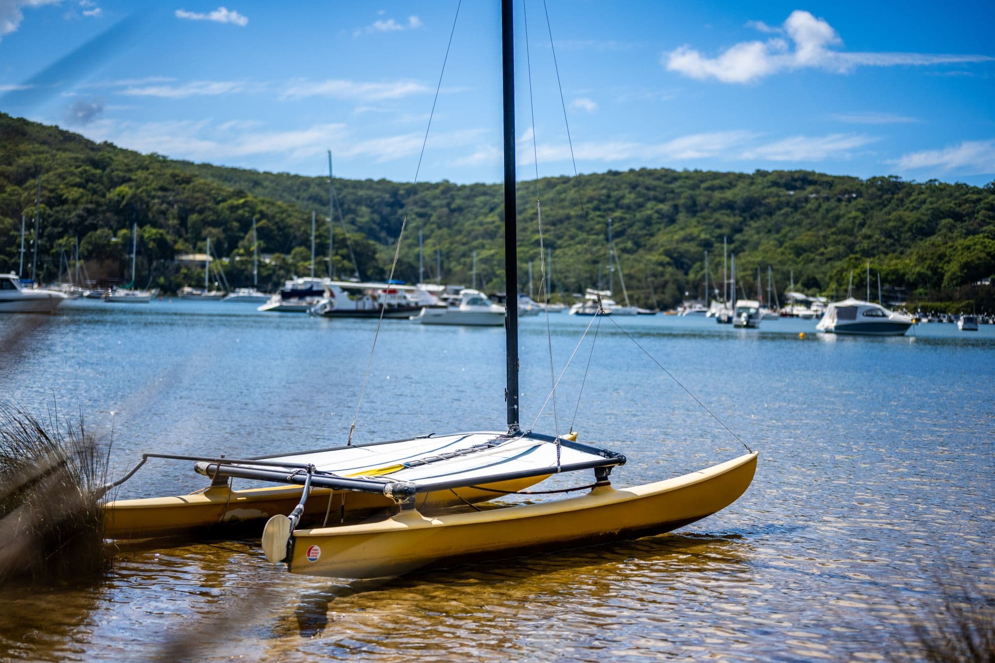 144 Araluen Drive, Hardys Bay NSW 2257, Hardys Bay - Thumbnail 6