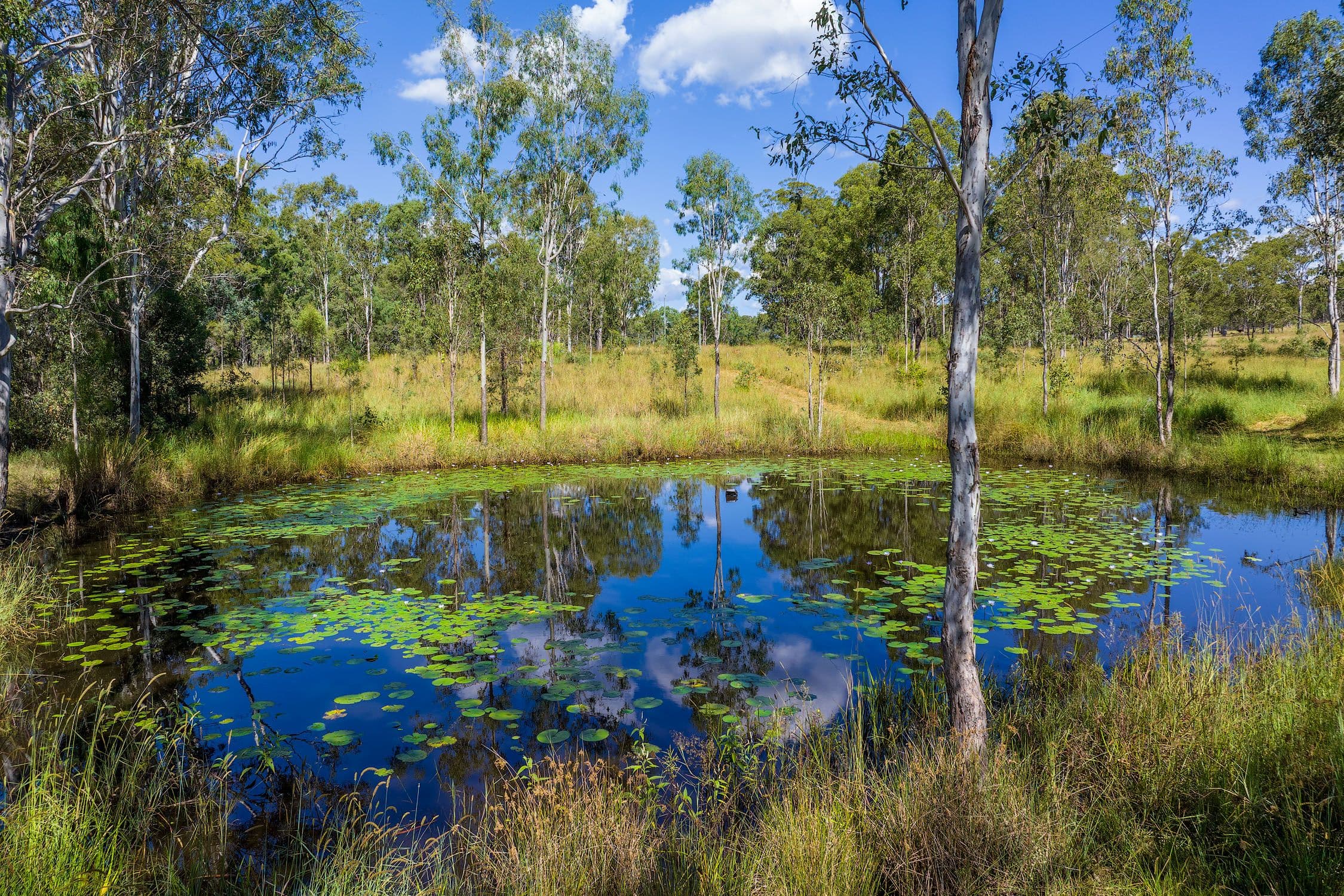 130 Little Widgee Road, Widgee QLD 4570, Widgee - Thumbnail 2