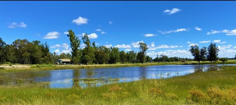 2151 Tenomby Road, Wondalli, QLD, 4390, Wondalli - Thumbnail 2