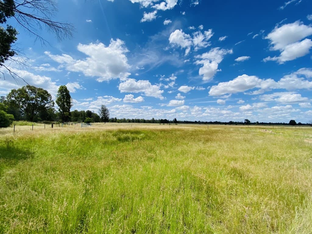 2151 Tenomby Road, Wondalli, QLD, 4390, Wondalli - Thumbnail 5
