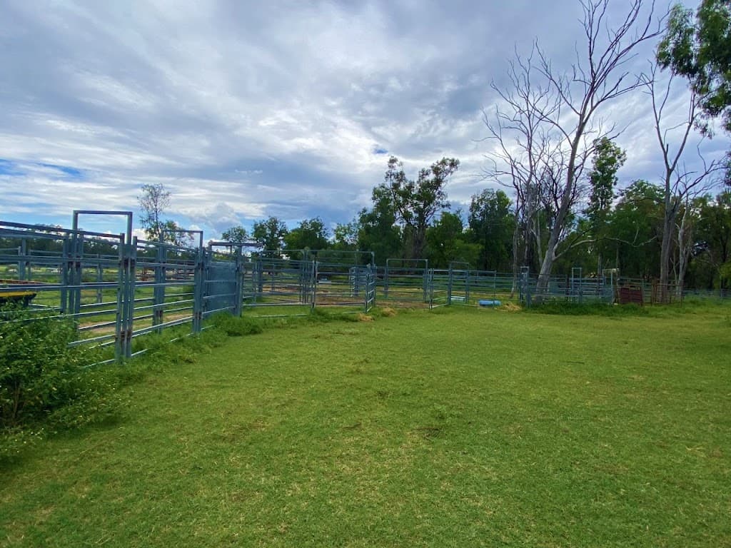2151 Tenomby Road, Wondalli, QLD, 4390, Wondalli - Thumbnail 7
