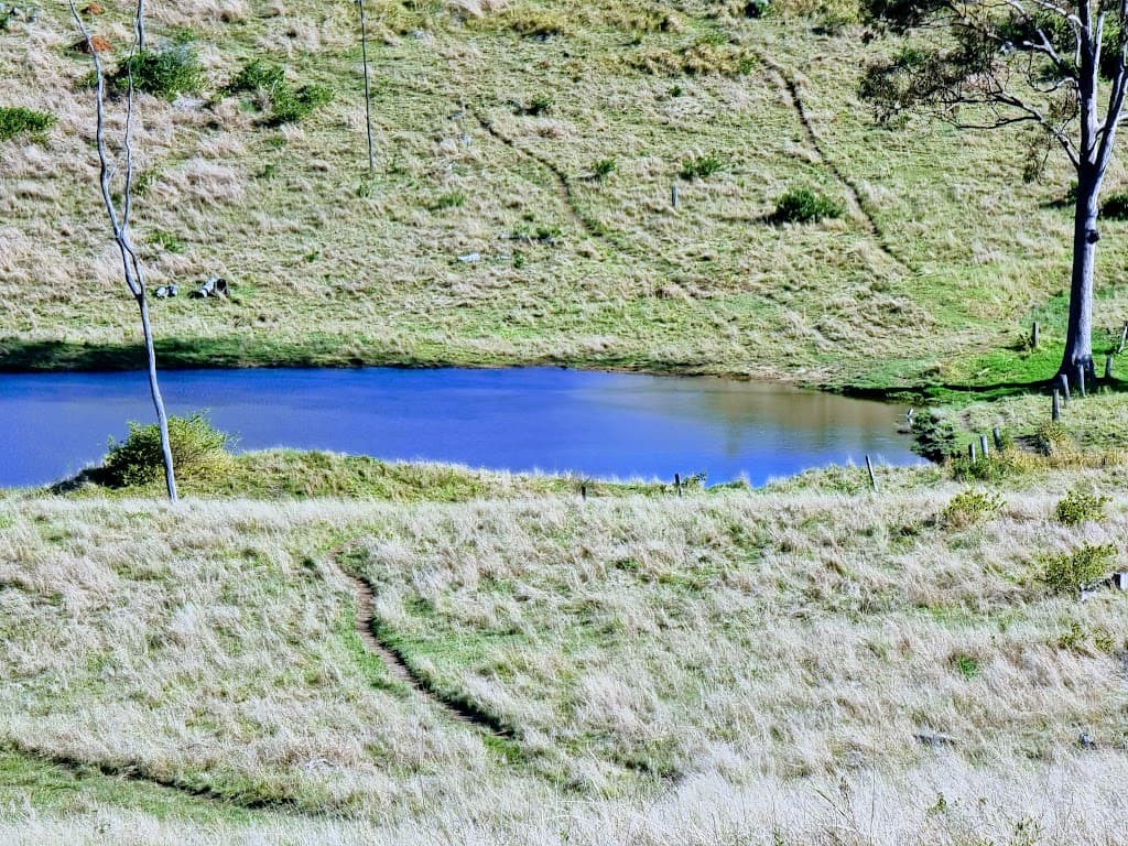 Lot 2 Marshall Rd, Anduramba, QLD, 4355, Anduramba - Thumbnail 6