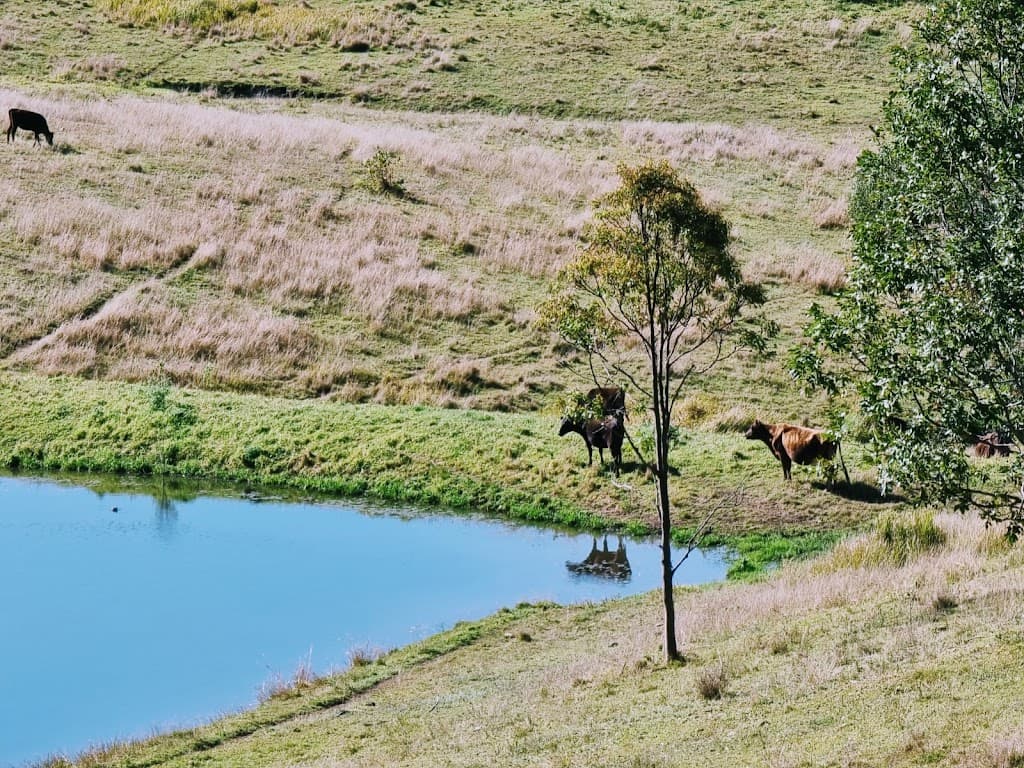 Lot 2 Marshall Rd, Anduramba, QLD, 4355, Anduramba - Thumbnail 8