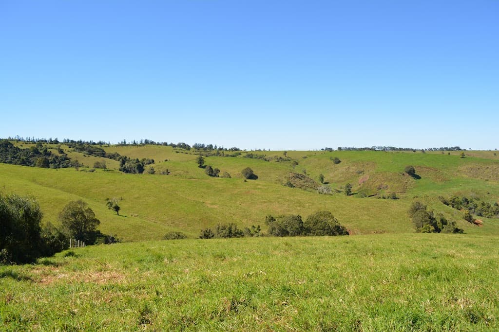 LOT 555 Old Palmerston Highway, Beatrice, QLD, 4886, Beatrice - Thumbnail 2