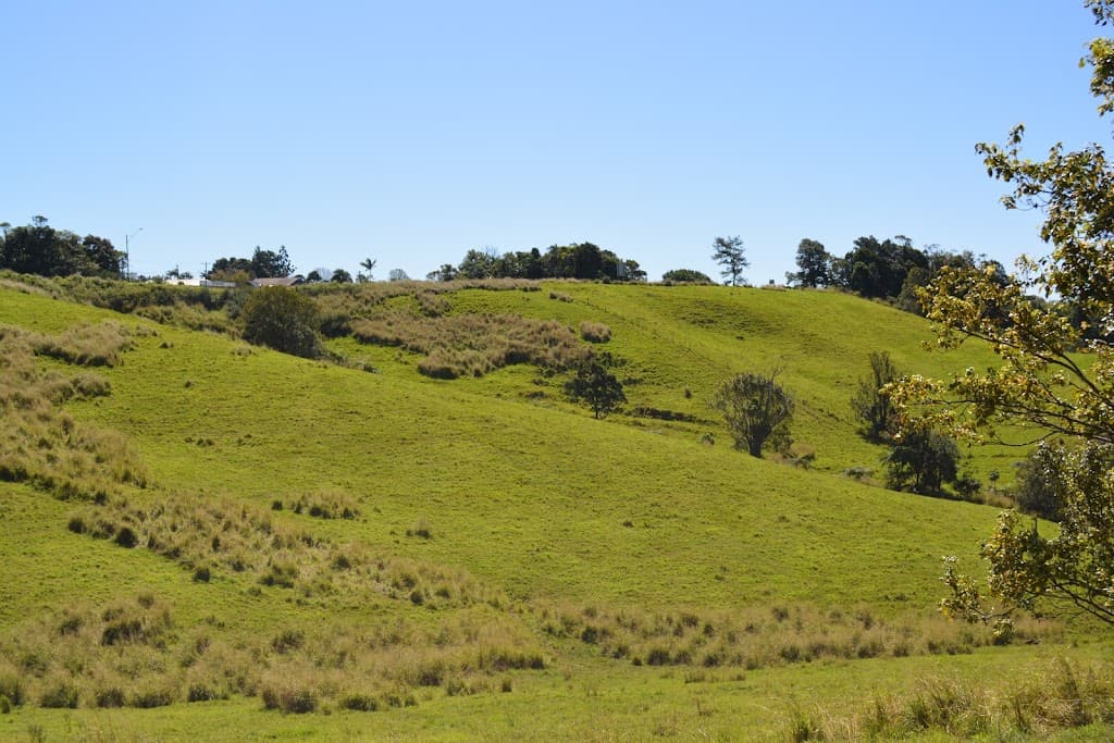 LOT 555 Old Palmerston Highway, Beatrice, QLD, 4886, Beatrice - Thumbnail 3