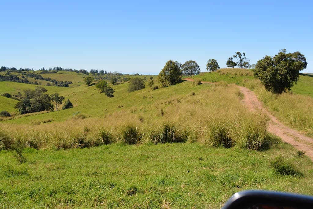 LOT 555 Old Palmerston Highway, Beatrice, QLD, 4886, Beatrice - Thumbnail 4
