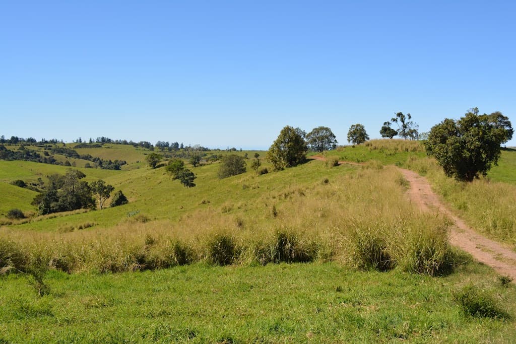 LOT 555 Old Palmerston Highway, Beatrice, QLD, 4886, Beatrice - Thumbnail 5