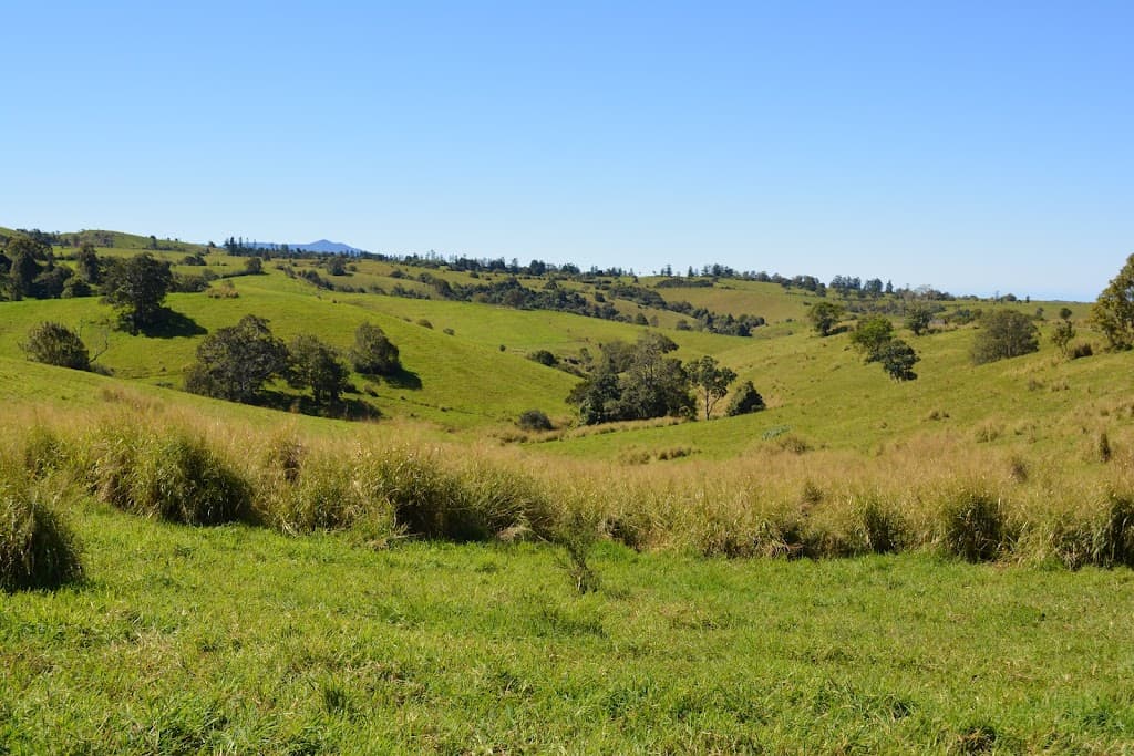 LOT 555 Old Palmerston Highway, Beatrice, QLD, 4886, Beatrice - Thumbnail 6