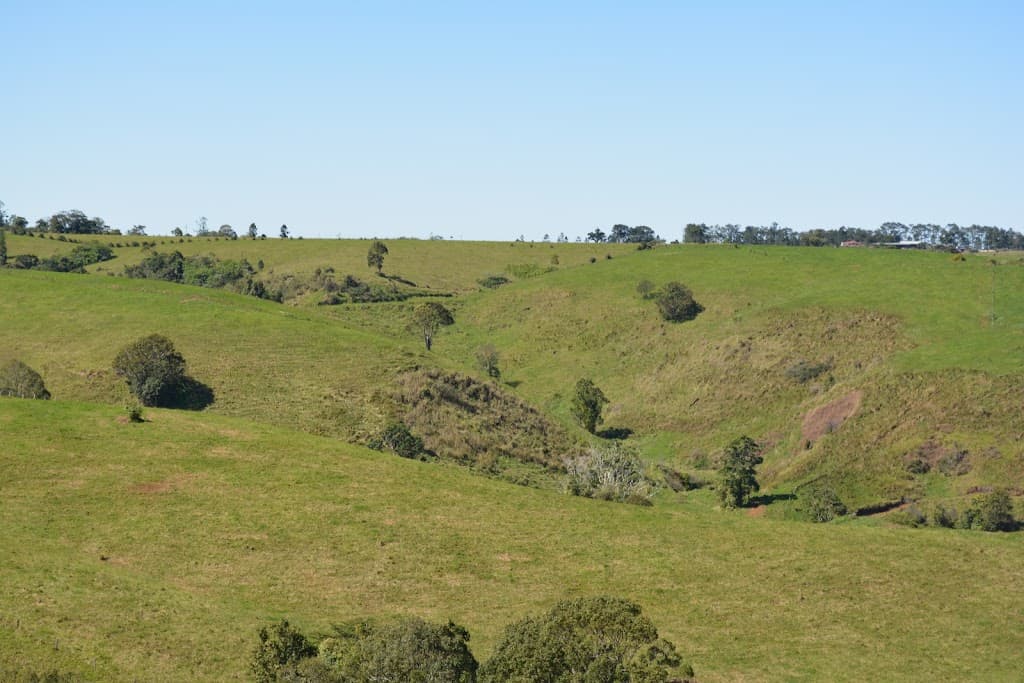 LOT 555 Old Palmerston Highway, Beatrice, QLD, 4886, Beatrice - Thumbnail 7