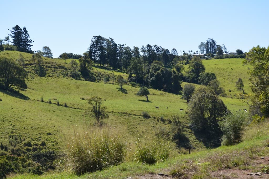 LOT 555 Old Palmerston Highway, Beatrice, QLD, 4886, Beatrice - Thumbnail 8