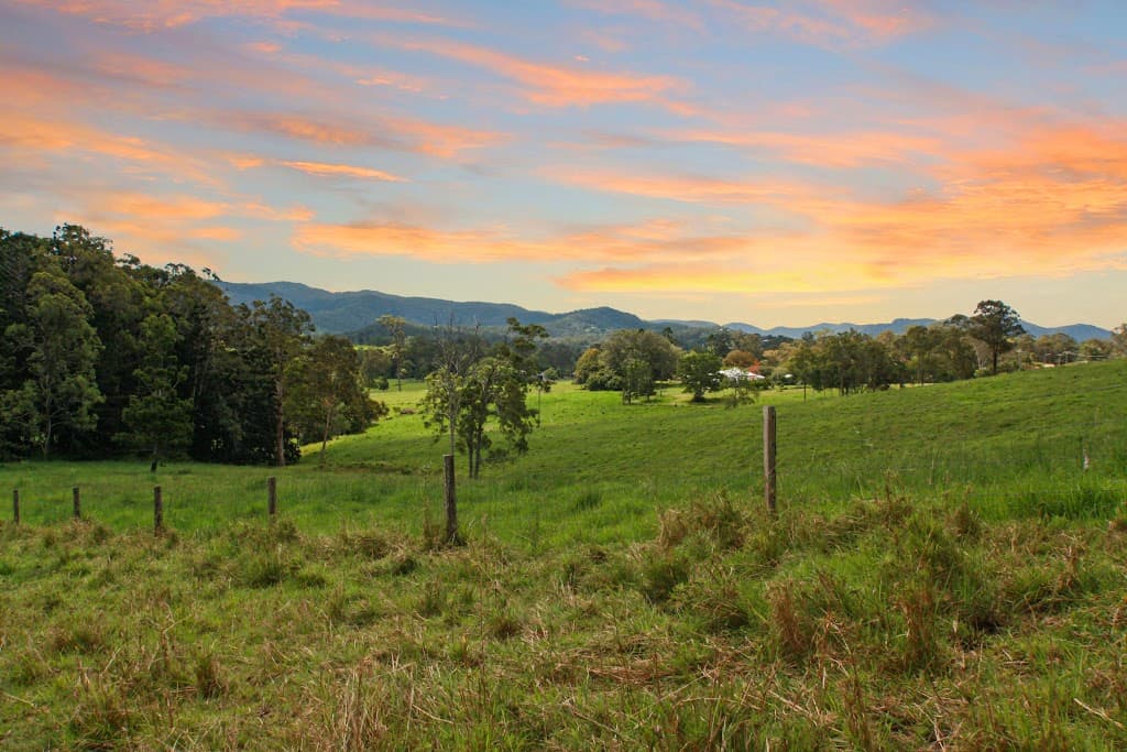 626 Maudsland Road, Maudsland, QLD, 4210, Maudsland - Thumbnail 2