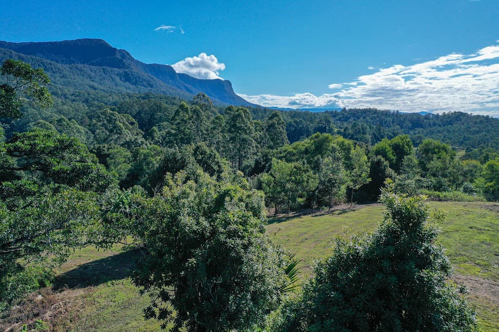 76 Coalmine Road, Mount Burrell, NSW, 2484, Mount Burrell - Thumbnail 2