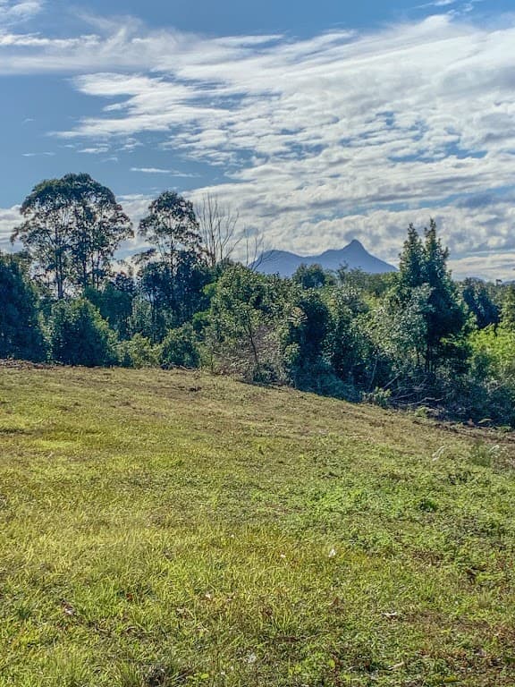 76 Coalmine Road, Mount Burrell, NSW, 2484, Mount Burrell - Thumbnail 5