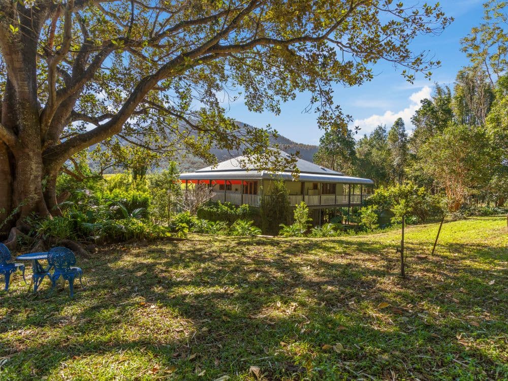 293 Tyalgum Creek Road, Tyalgum Creek, NSW, 2484, Tyalgum Creek - Image 1