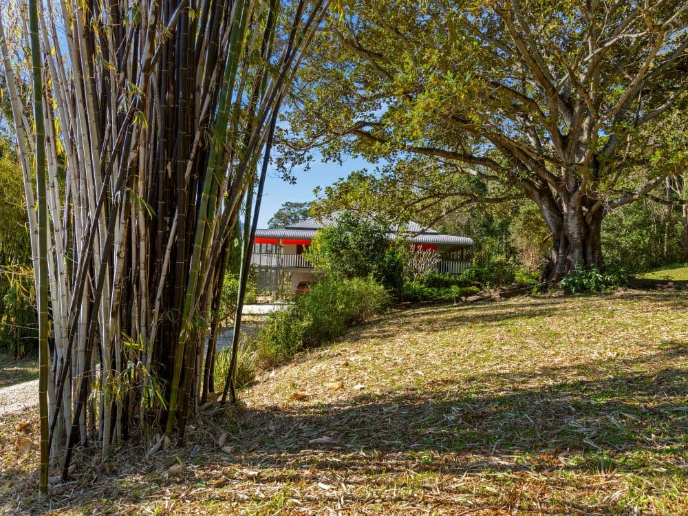 293 Tyalgum Creek Road, Tyalgum Creek, NSW, 2484, Tyalgum Creek - Thumbnail 2