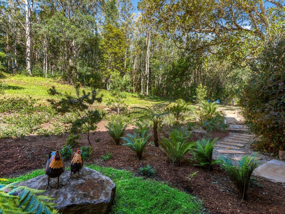 293 Tyalgum Creek Road, Tyalgum Creek, NSW, 2484, Tyalgum Creek - Thumbnail 6