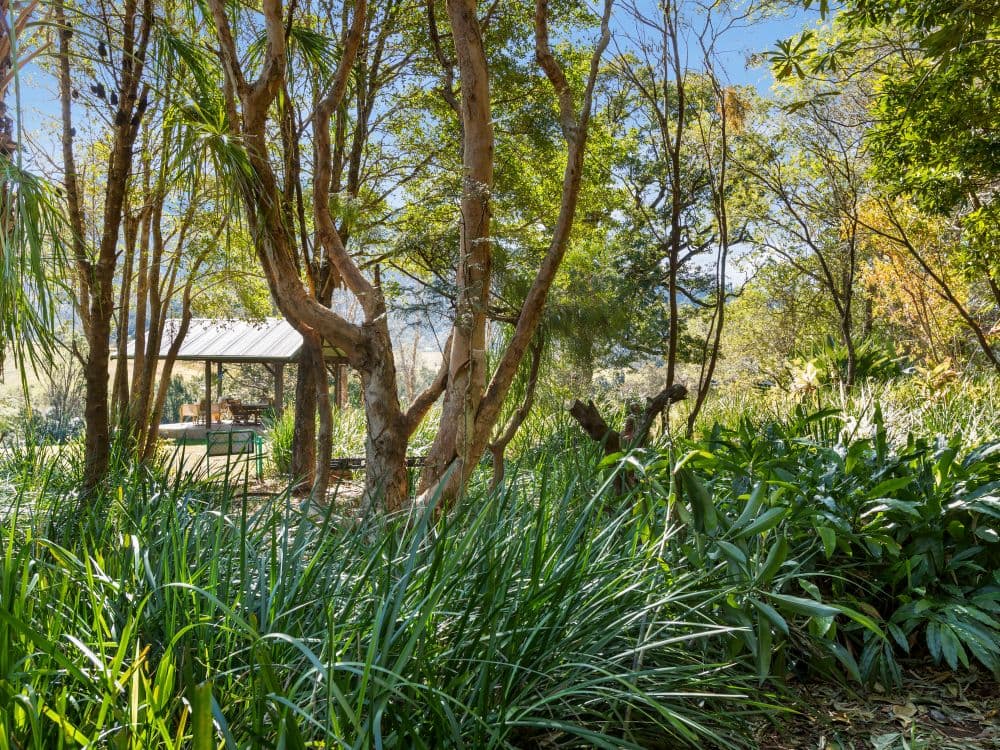 293 Tyalgum Creek Road, Tyalgum Creek, NSW, 2484, Tyalgum Creek - Thumbnail 7