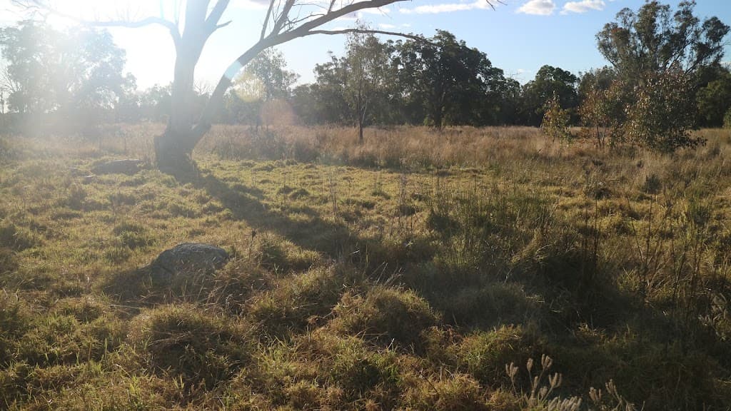 1339 Grove Road, Bassendean, NSW, 2365, Bassendean - Thumbnail 5