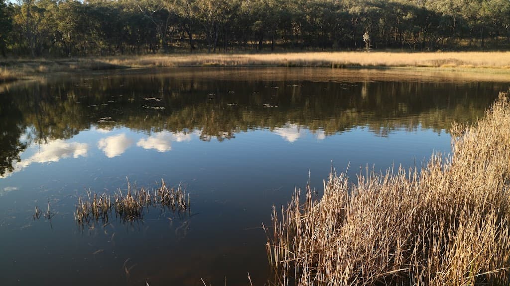 1339 Grove Road, Bassendean, NSW, 2365, Bassendean - Thumbnail 6