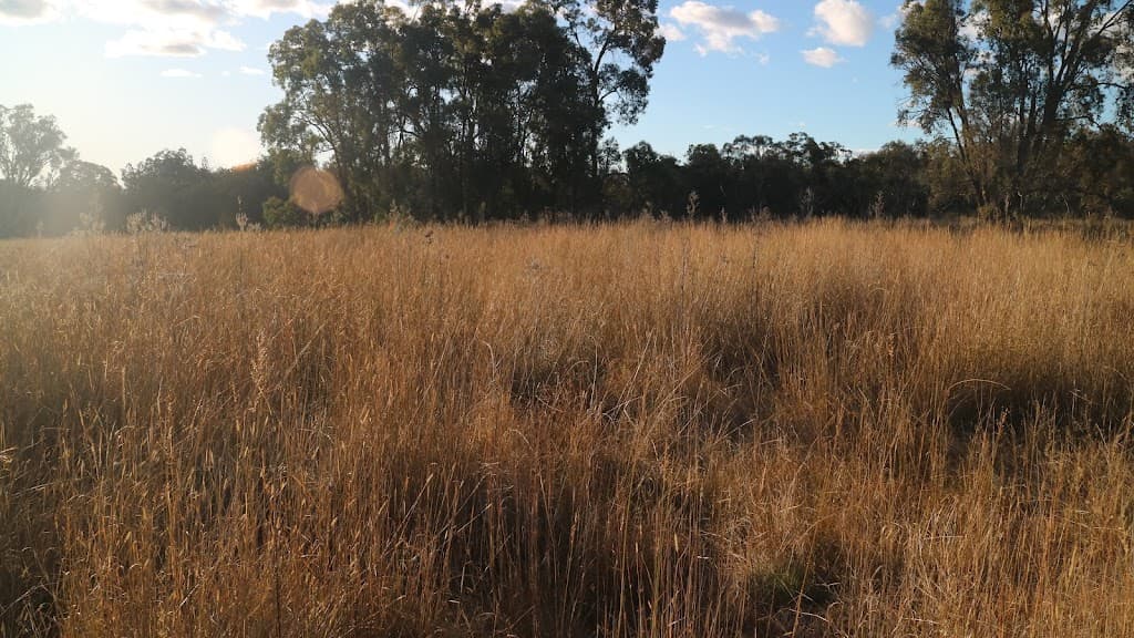 1339 Grove Road, Bassendean, NSW, 2365, Bassendean - Thumbnail 7