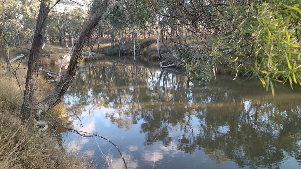 1339 Grove Road, Bassendean, NSW, 2365, Bassendean - Thumbnail 8