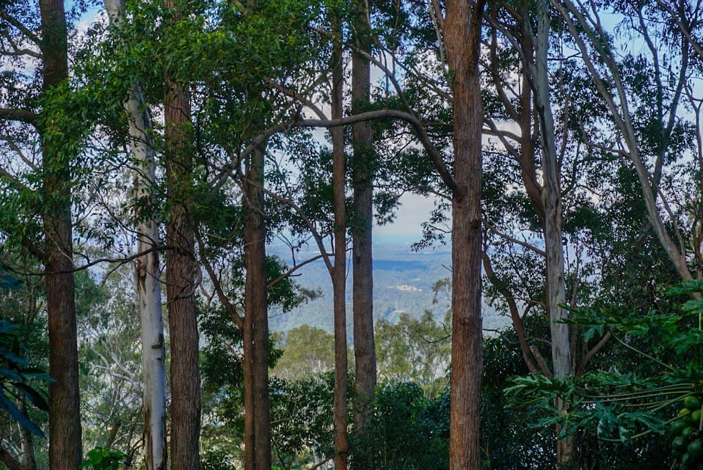 59 Balmoral Road, Montville, QLD, 4560, Montville - Thumbnail 3